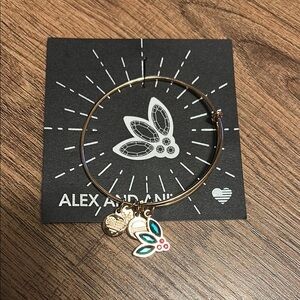 Alex and Ani Swarovski Crystal Set